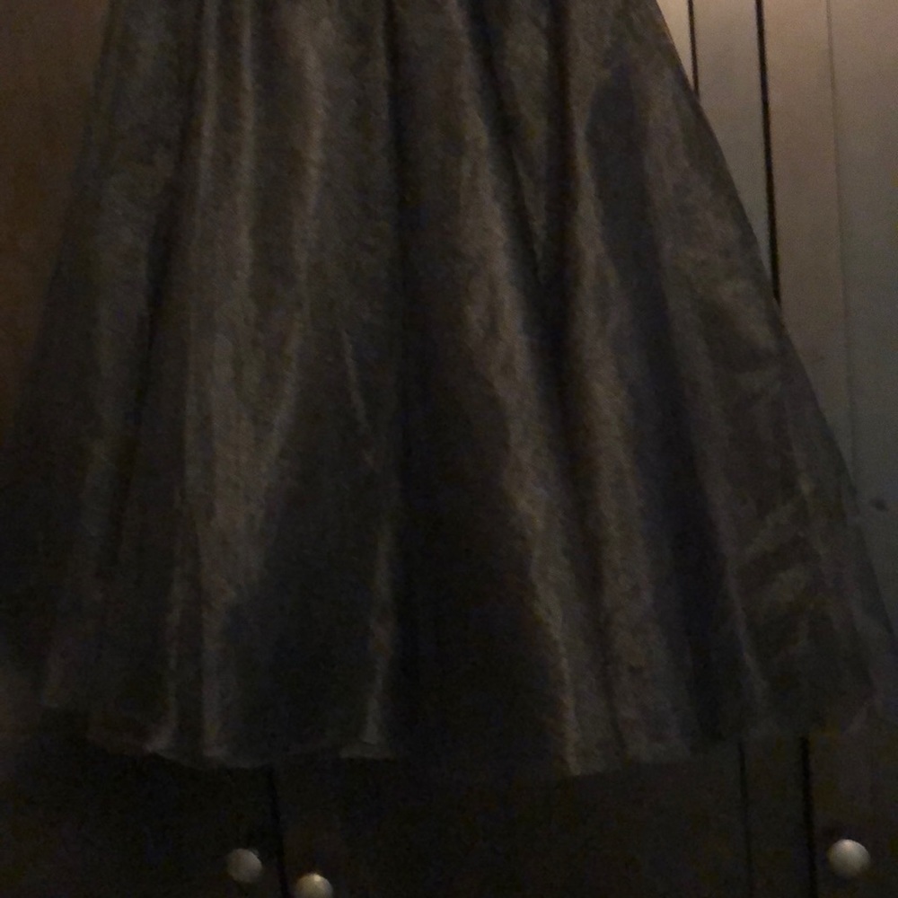 Sheer skirt with lining